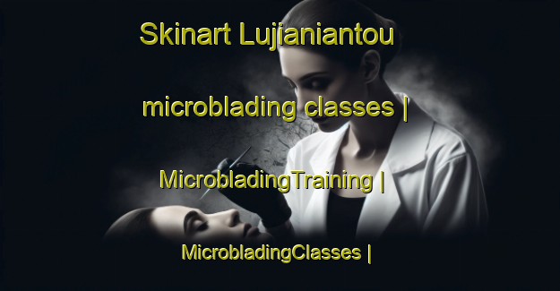 Skinart Lujianiantou microblading classes | MicrobladingTraining | MicrobladingClasses | SkinartTraining-China